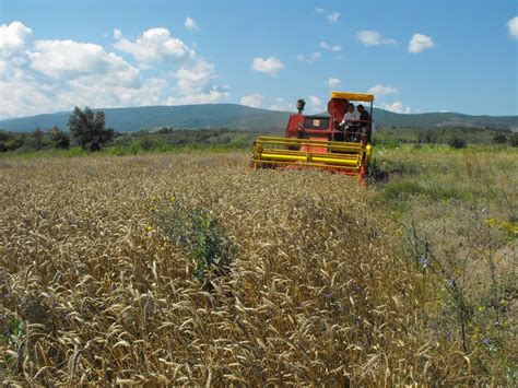 Данас презентација Правилника за подстицај пољопривреде | Општина Вишеград