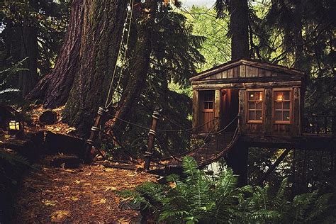 These 32 Tree Houses Are More Whimsical Than Your Wildest Dreams And They Actually Exist