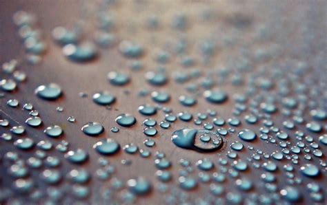 Free Images Water Droplet Drop Dew Flower Petal Blue Circle
