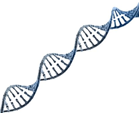 Dna Structure Clipart Clipart Transparent Background Red Dna Png Images