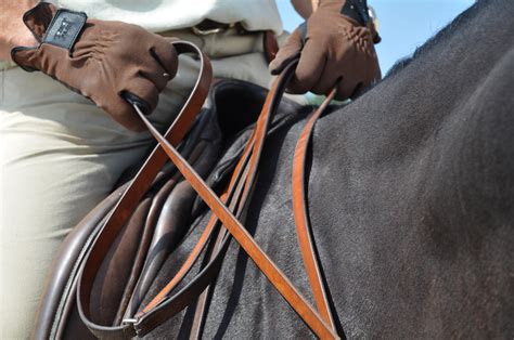 How To Hold Horses Reins