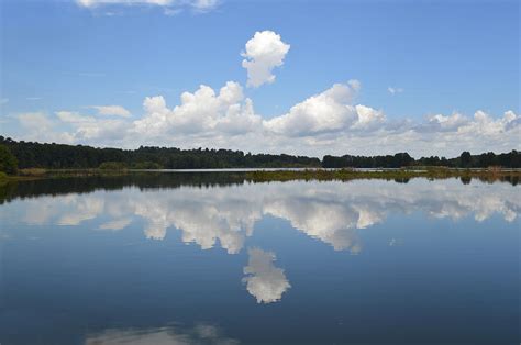Alligator Lake Blue Sky With Summer Clouds Photograph By Rd Erickson