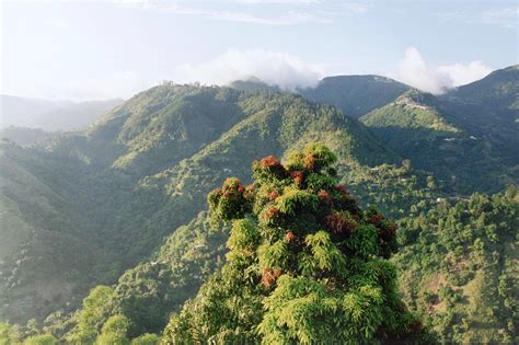 Jamaica Makes History: Newest UNESCO World Heritage Site - Outpostings