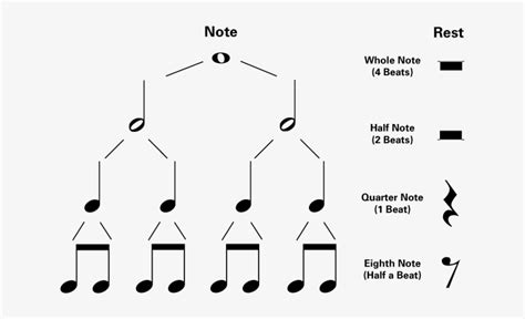 = sixteenth note and rest: Half Rest Symbol Download - Piano Note Values Chart - Free Transparent PNG Download - PNGkey