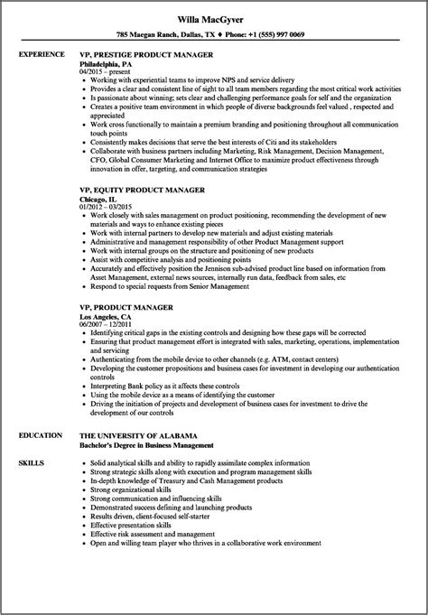 Executive Product Management Resume Template Resume Example Gallery