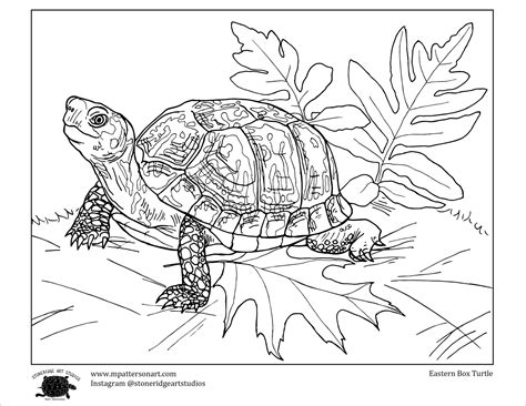 Yertle The Turtle Coloring Pages Home Design Ideas