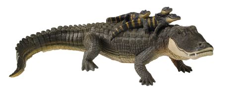 Safari Ltd Incredible Creatures Alligator With Babies