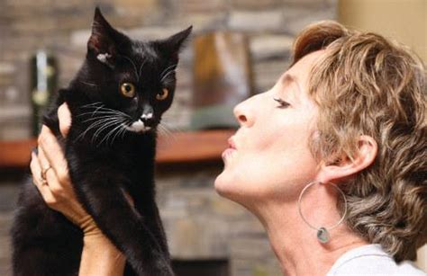 13 Reasons To Love Black Cats Petsafe