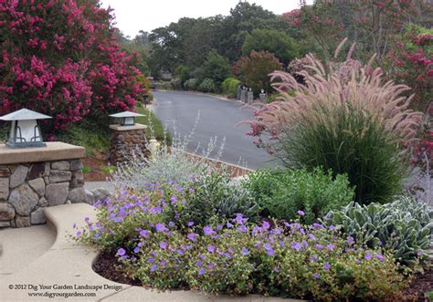 Plant Combinations Northern California Gardens Traditional