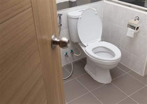 Best Flushing Toilet In 2022 7 Reviews And Buying Guide