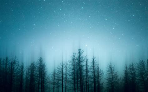 Download Wallpaper 3840x2400 Trees Pines Starry Sky Night Blur 4k