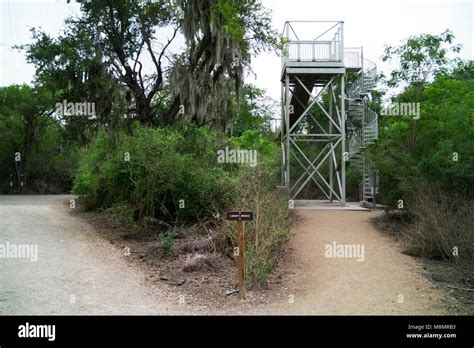 Canopy Bridge And Supporting Towers That Allow Pedestrians To Walk