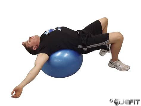 Exercise Ball Back Stretch Exercise Database Jefit Best Android