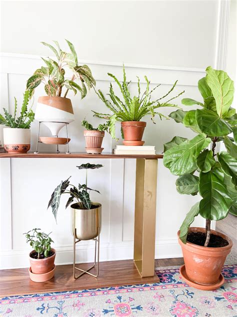 Check spelling or type a new query. 20 Best Perfect Gifts for Plant Lovers - Unique Plant ...