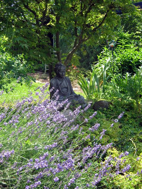 The best soil for any given plant is the soil type that the plant evolved to grow in. Grow Lavender in Acid or Clay Soil | Dengarden
