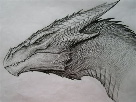 Found 10 free dragons drawing tutorials which can be drawn using pencil, market, photoshop, illustrator just follow step by step. Dragon Sketch Images at PaintingValley.com | Explore ...