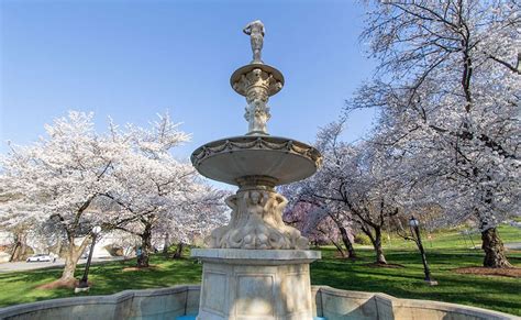 Brandywine Park Friends Of Wilmington Parks