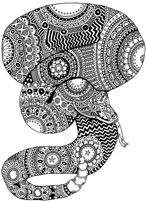 These legless, carnivorous reptiles are found across the globe. Pin on Black and White Art - Zentangle and Sketches ...