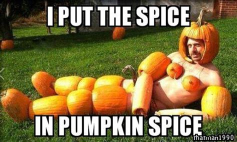 Funny Pumpkin Memes Puns And Fun Funny Halloween Pictures Funny