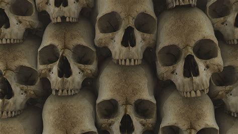 Skulls Hd Wallpapers Wallpaper Cave