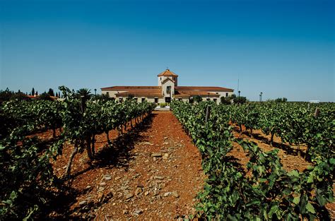 Introducing Extremadura wine region - Decanter