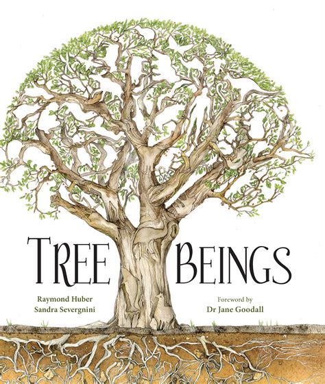 Short Stories For Kids Review Tree Beings