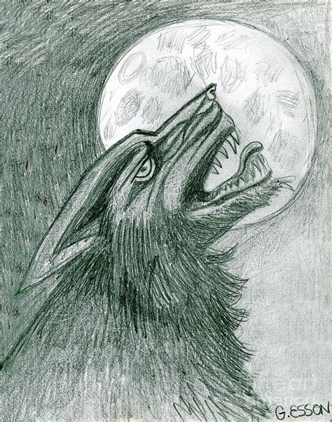 Werewolf Drawing By Genevieve Esson Fine Art America