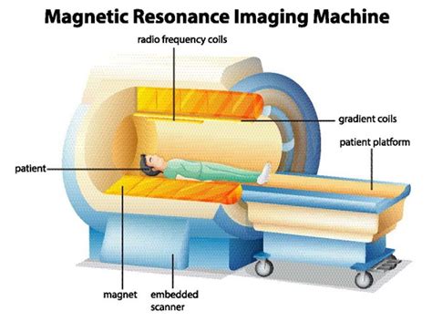 Ct Scan आणि Mri मध्ये काय फरक आहे जाणून घ्या दोन्ही गोष्टींसाठी एकच