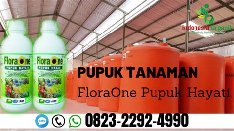 Agen hayati adalah setiap organisme yang meliputi spesies, sub spesies, atau varietas dari semua jenis pengertian agens hayati menurut fao (1988) yang dikutip oleh khairdin (2012) adalah. LIMITED_0823*2292*4990. AGEN pupuk hayati serbuk Bangli, SUPPLIER pupuk hayati petrobio Buleleng ...