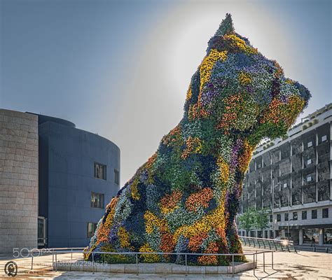 The Puppy At Guggenheim Bilbao Spain By Elkhorn2013 City