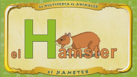 La Multipedia De Animales Letra H El Hámster Youtube