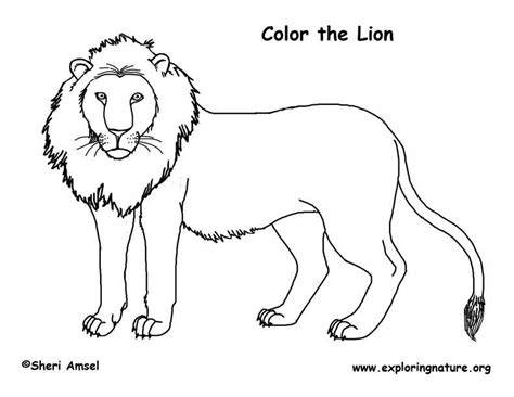 With our lion king coloring pages, you can venture into that land in your imagination. Lion Coloring Page