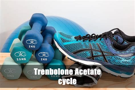What Is A Trenbolone Acetate Cycle And Is It Good One Healthy Life Llc