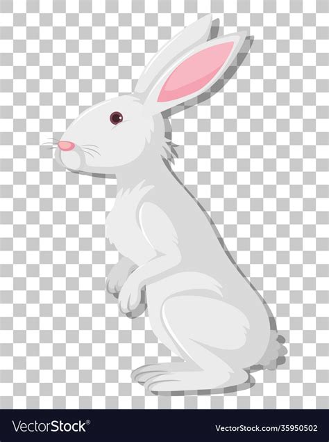 White Rabbit Cartoon Isolated On Transparent Vector Image