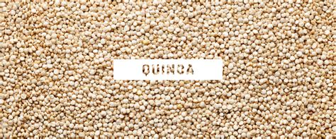 Millett Vs Quinoa Whats The Difference Thrive Market