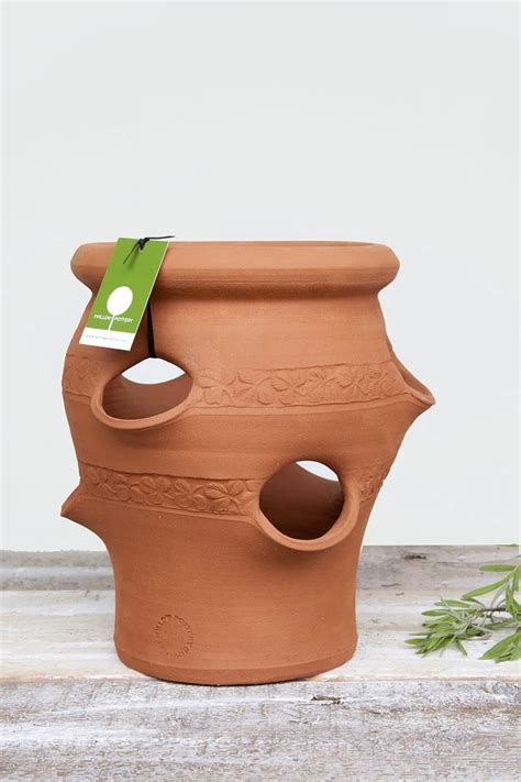 Awasome Extra Large Terracotta Strawberry Planter References Eq2daily