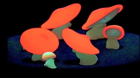 Aphex Twin Fantasia Mushrooms Youtube