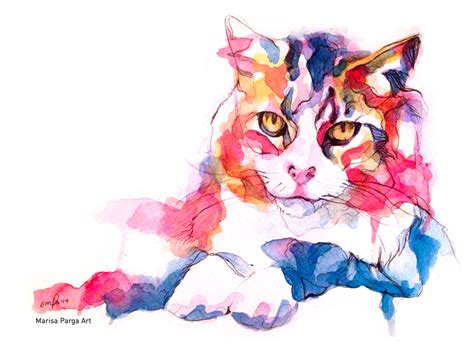 Watercolor Illustrations On Behance