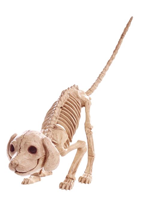 The dog halloween decorations come with sound and lights and are easy to use. 7.5" Puppy Skeleton