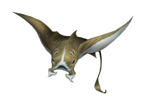 Manta Ray Monsters Archives Of Nethys Pathfinder 2nd Edition Database