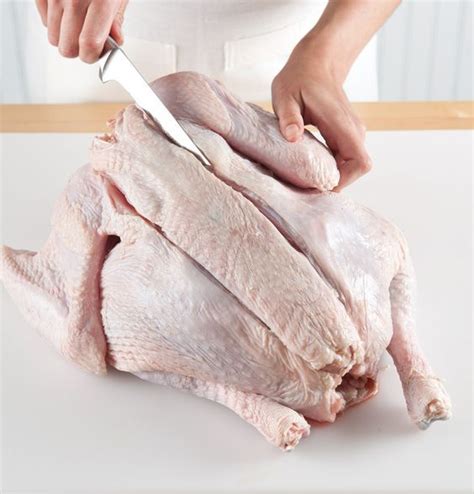 spatchcock turkey primer ~~~ after you learn how to knife play your way into this best of best