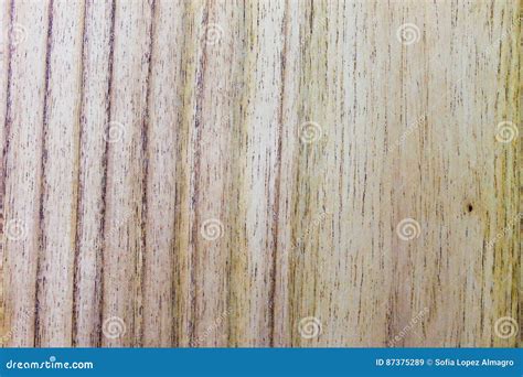 Wood Surface Material Detail Stock Image Image Of Backdrop Hardwood