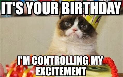 Angry Cat Birthday Meme Incredible Happy Birthday Memes For You Top