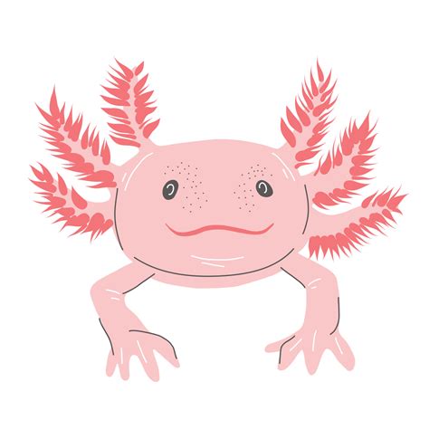 Axolotls Eeek So Cute Ajolote Dibujo Ajolote Ilustraciones De Porn Sexiz Pix