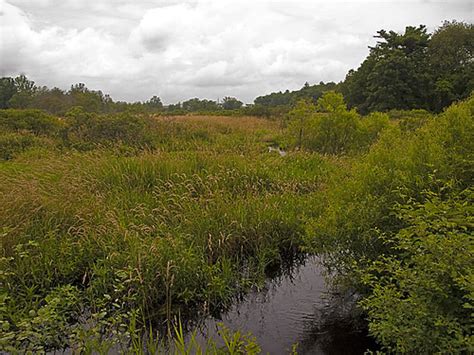 Marsh The Marsh And Hockomock Creek Adjacent To The Power Flickr