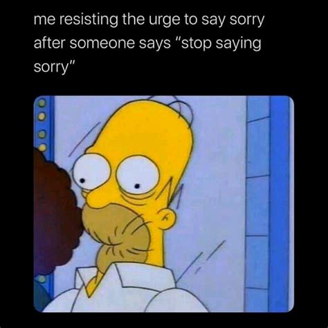 Stop Saying Sorry Rwholesomememes Wholesome Memes Know Your Meme