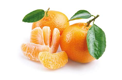 Tangerine - Distoro inc