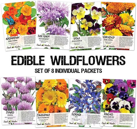 Edible Wildflower Seed Collection Wildflower Seeds Wild Flowers