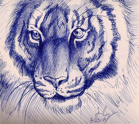 Tiger Pen Sketch By Sketcher Ballpoint Pen Art Pen Sketch Ink