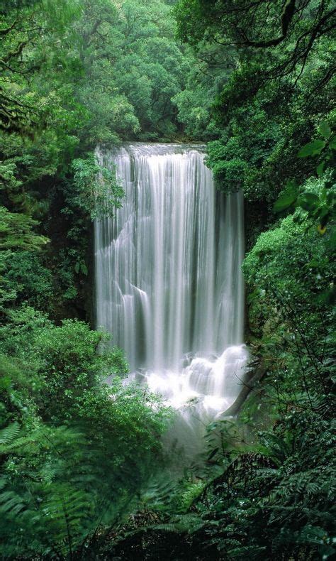 Waterfall In The Green Beautiful Waterfalls Waterfall Beautiful Places